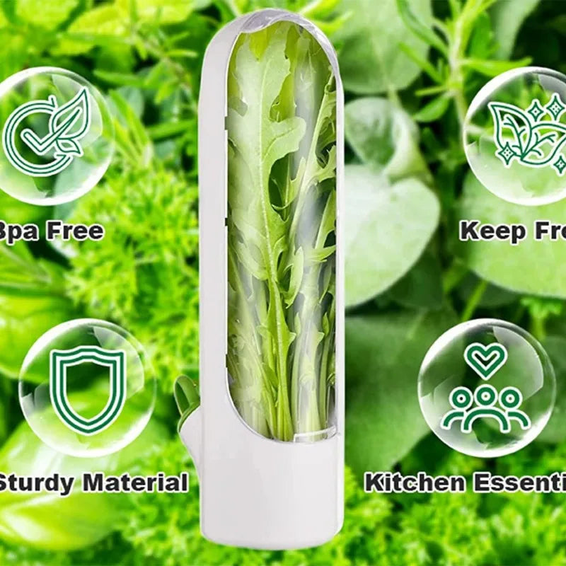 Herb Saver Storage Container Fresh Herb Keeper Vanilla Vegetables Fresh Preservation Bottle for Refrigerator Kitchen Gadgets