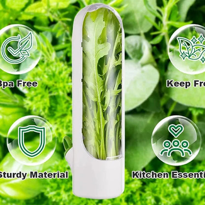 Herb Saver Storage Container Fresh Herb Keeper Vanilla Vegetables Fresh Preservation Bottle for Refrigerator Kitchen Gadgets